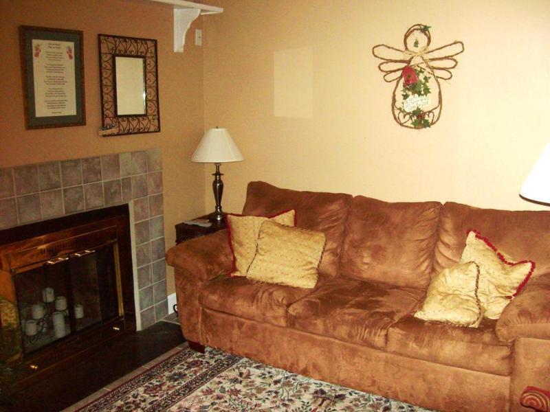 Oak Square Rentals ガトリンバーグ エクステリア 写真